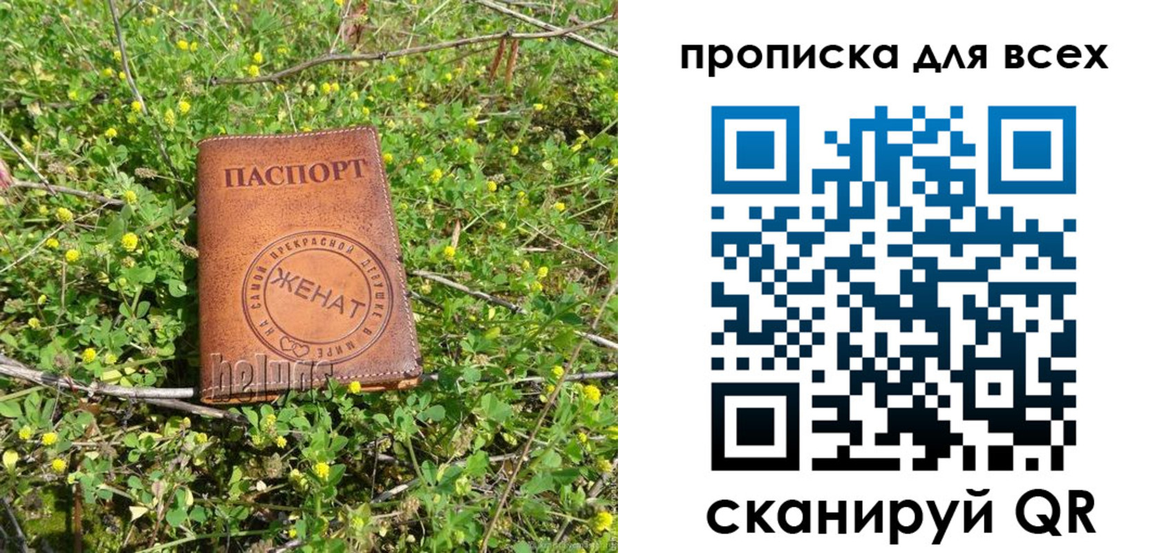 прописка поиск в Карелии